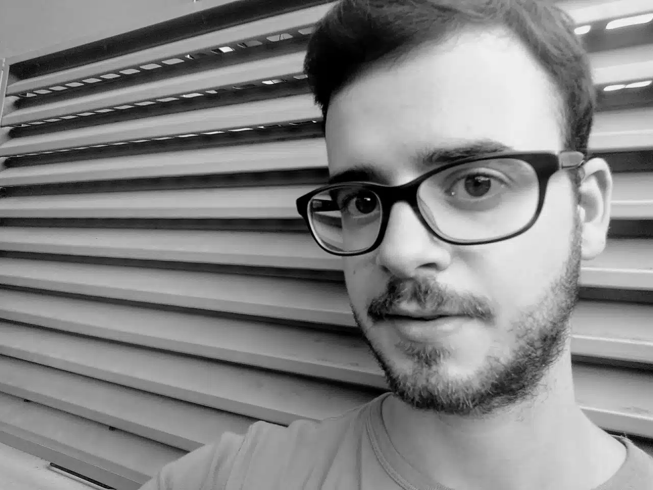 Luis Meseguer Mira